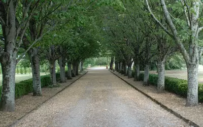 Castelnau-De-Lévis (81150)