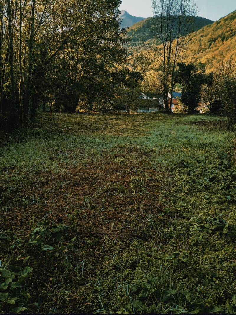 Aspet (31160)