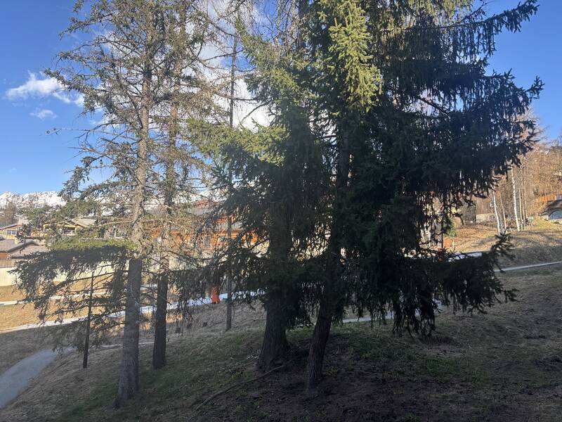La Plagne Tarentaise (73210)