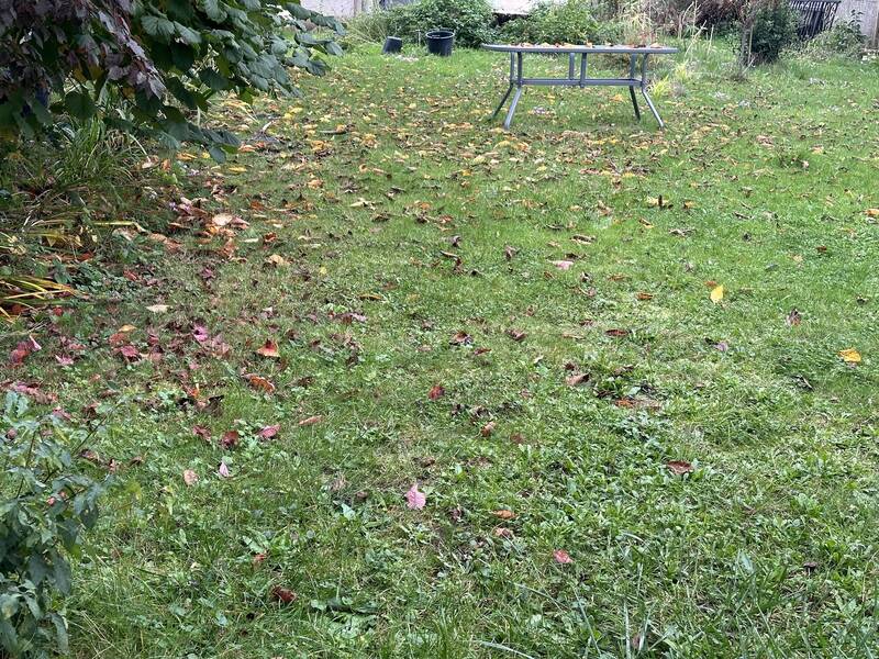 Les Clayes-Sous-Bois (78340)
