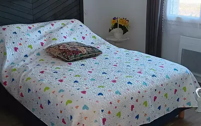 Nérac (47600)