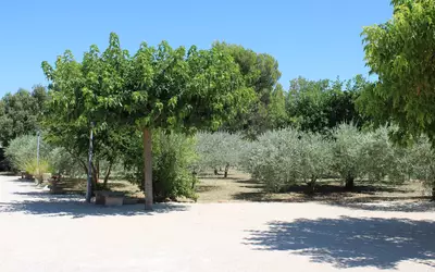 Modène (84330)