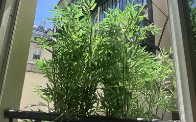 Paris 6E (75006)