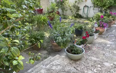 Avignon (84000)