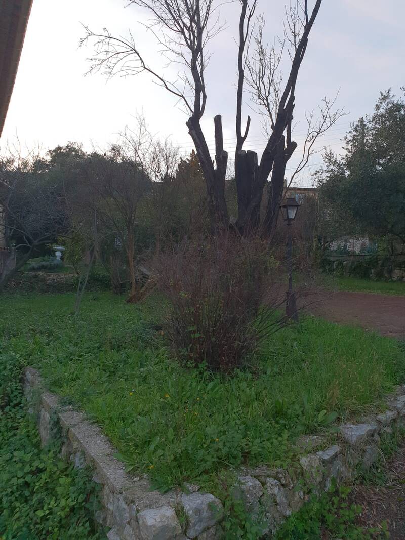 Grasse (06130)