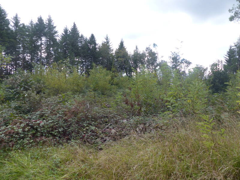 Villars (24530)