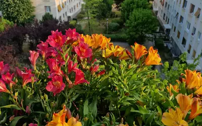 Champigny-Sur-Marne (94500)