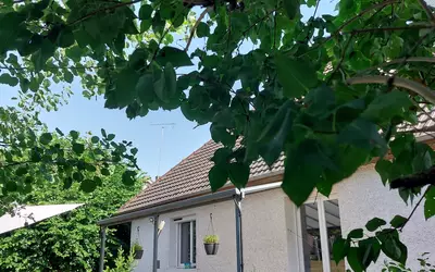 Paucourt (45200)