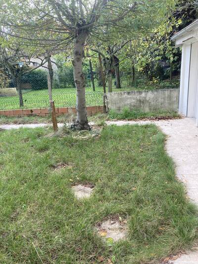 Location appartement studio Antony (92160)