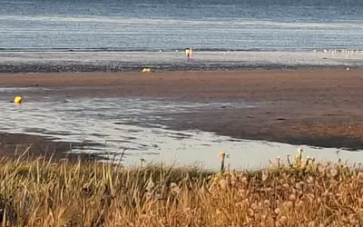 À 60M De La Plage - Hermanville-Sur-Mer (14880)