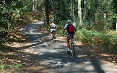 Viabilisé - À 3Km De L'océan