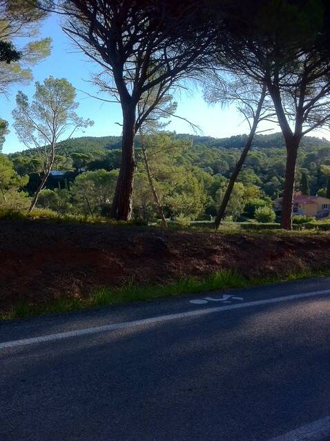 Fréjus (83600)