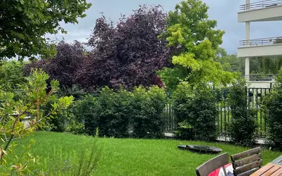 Saint-Cloud (92210)