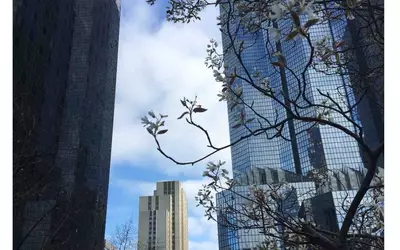 Courbevoie (92400)