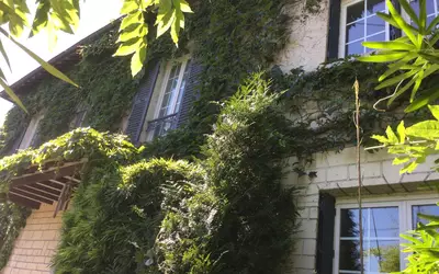 Pontoise (95000)
