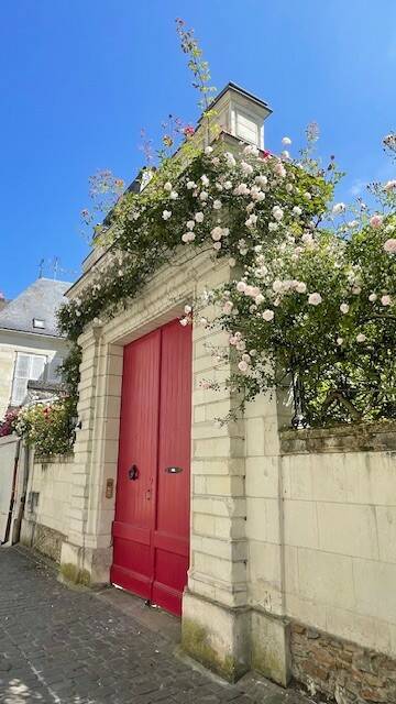 Angers, Chambre En Colocation