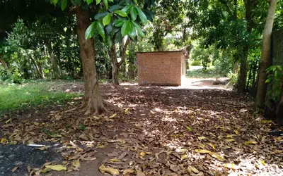 Brésil