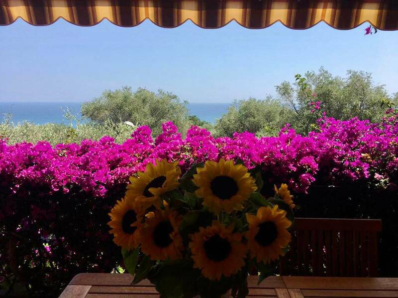 Menton (06500)