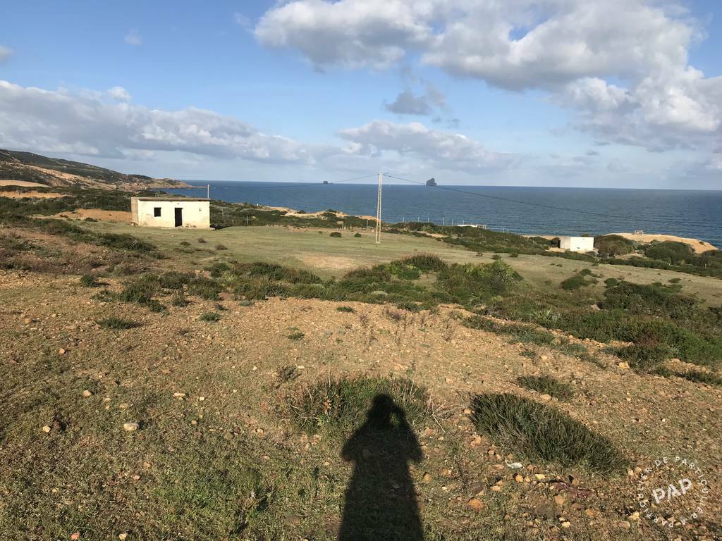 Vente Terrain