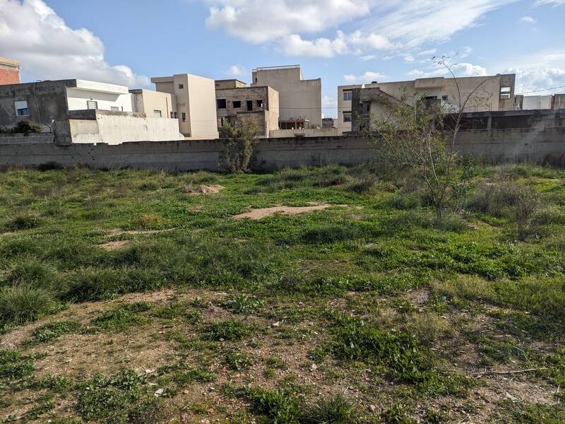 Tunisie
