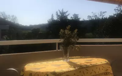 Mandelieu-La-Napoule (06210)