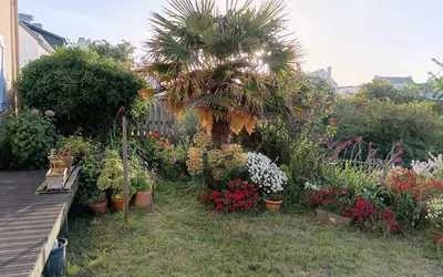 Sauzon (56360)