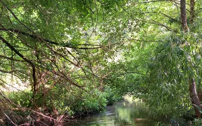 Rambouillet