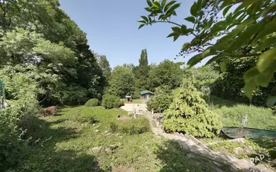 Saint-Witz (95470)