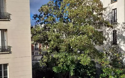 Saint-Ouen-Sur-Seine (93400)