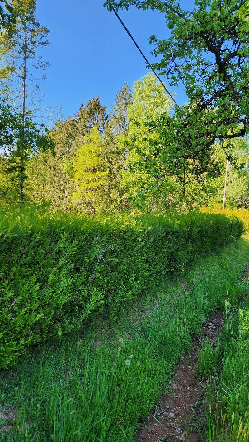 Rougegoutte (90200)