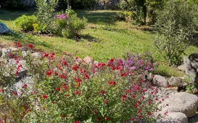 Sartène (20100)