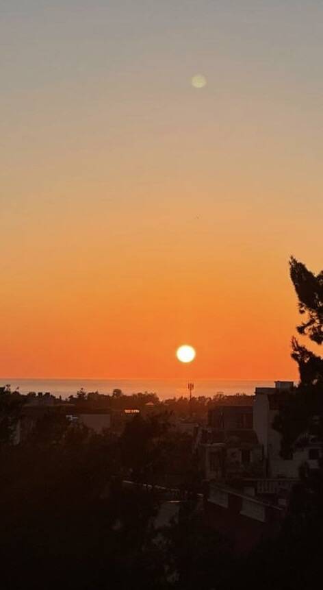 Algérie, À Staouli,
