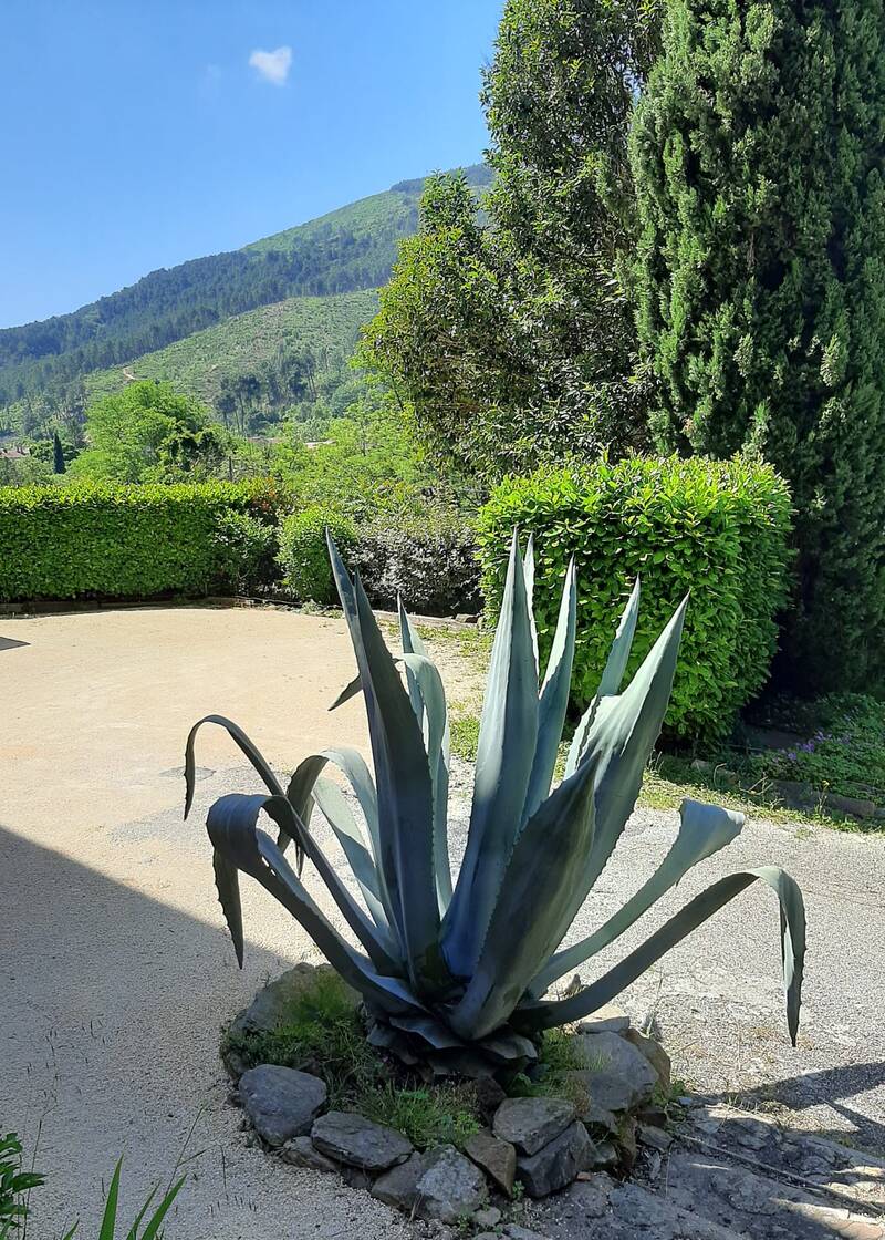 Le Martinet (30960)