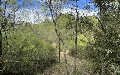 Aujargues (30250)