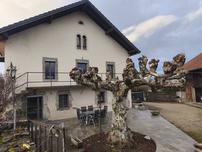 Vente maison 6 pièces Amancy (74800)