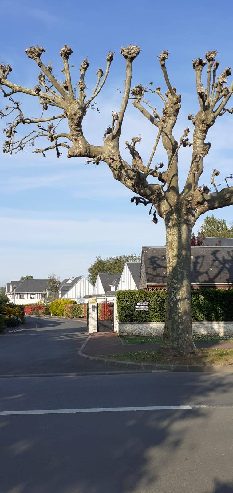 Villers-Sur-Mer (14640)