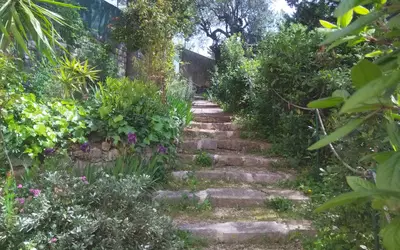 Grasse - Magagnosc-