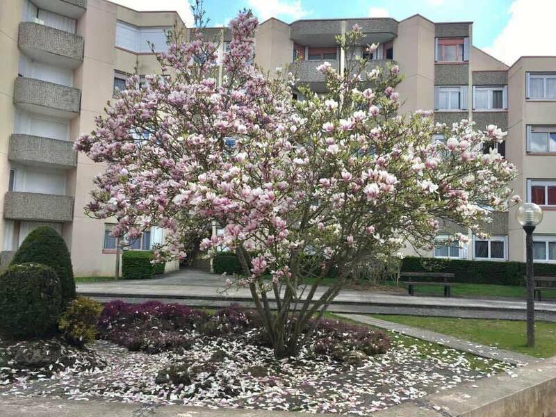 Montigny-Le-Bretonneux