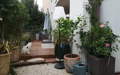 Montpellier (34000)