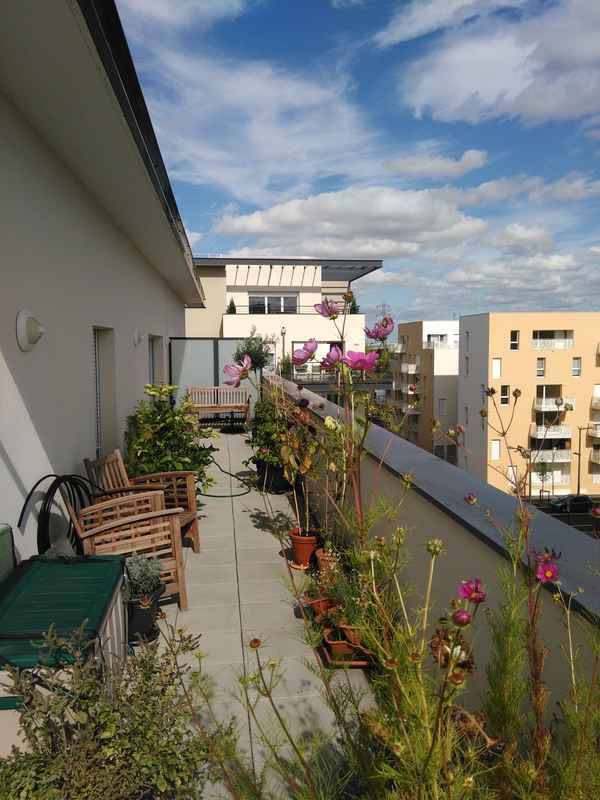 Cergy (95000)