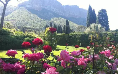 Cassis
