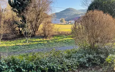 Saint-Dié-Des-Vosges (88100)