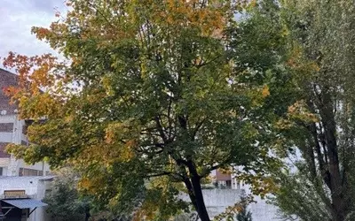 Paris 12E (75012)