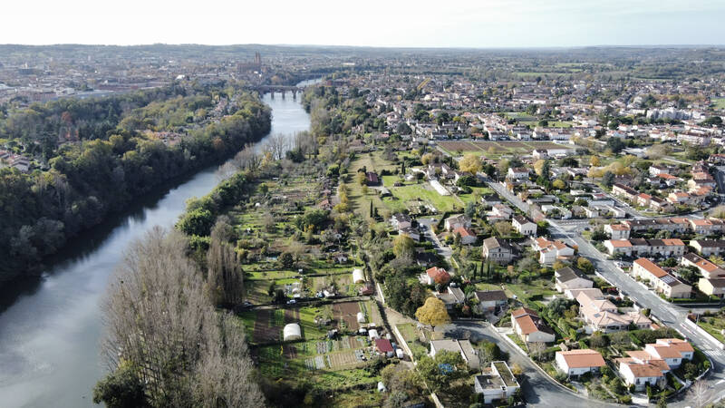Albi (81000)