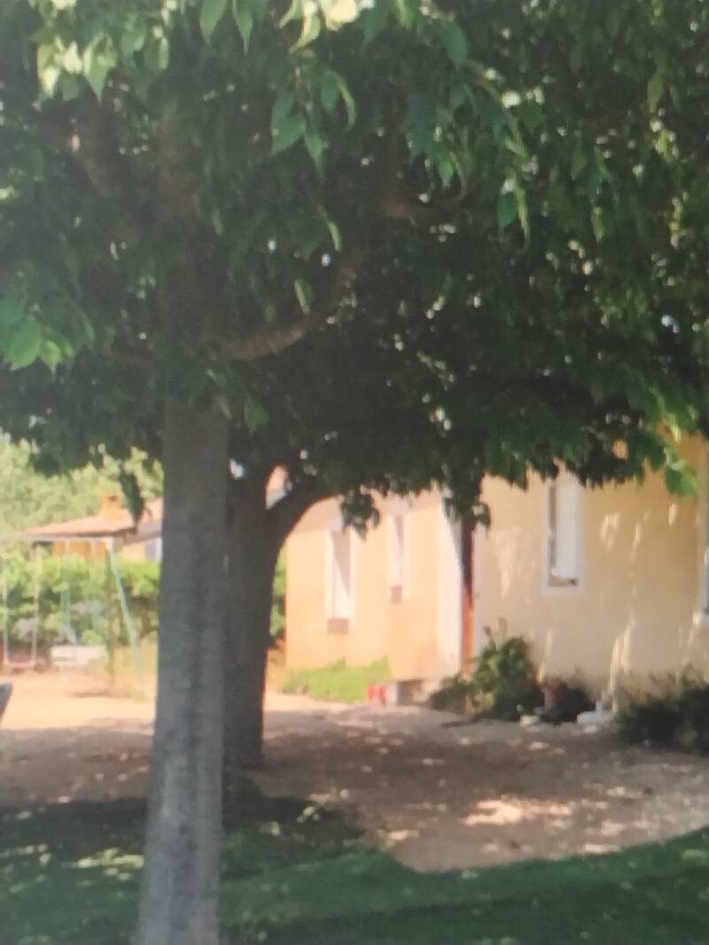 Le Castellet (83330)