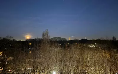 Saint-Cloud (92210)