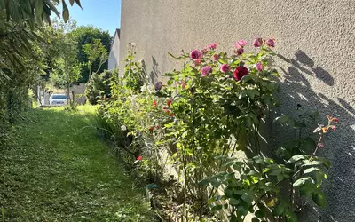 Juvigny (51150)