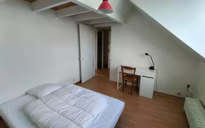 Lille (59000)