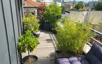 Issy-Les-Moulineaux (92130)