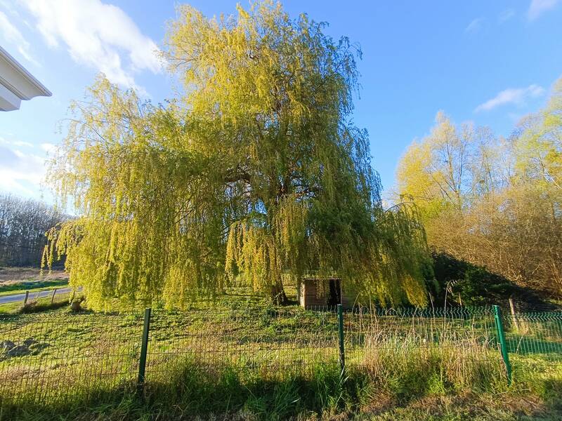 Mosnes (37530)